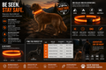 TrailGlow™ LED Safety Dog Collar